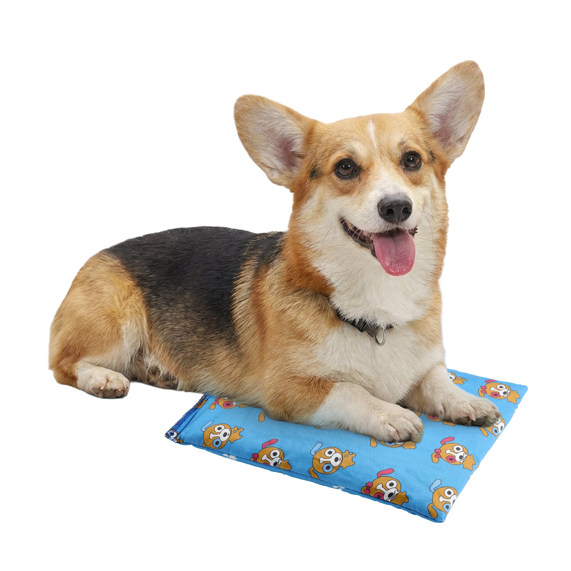 Sac Magique compresse bleue chaude/froide format moyen pour animaux