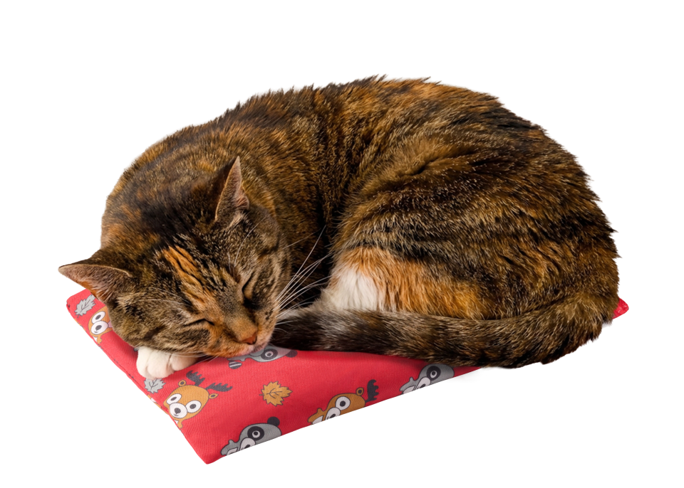 Red Magic Bag Medium Hot & Cold Compress for Pets