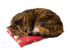 Red Magic Bag Medium Hot & Cold Compress for Pets
